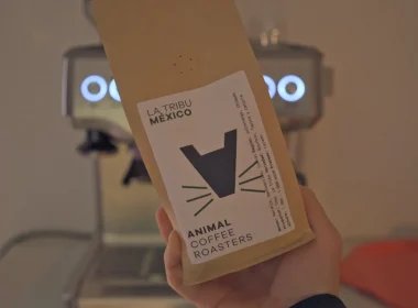 Los mejores cafés de especialidad
