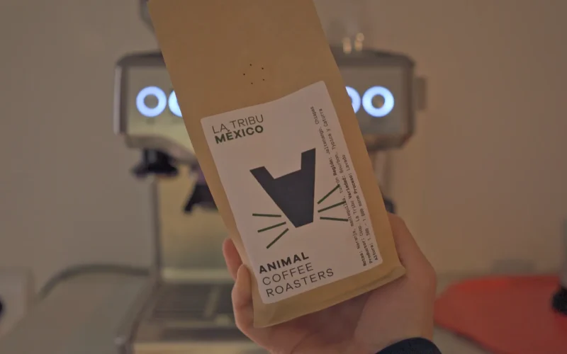 Los mejores cafés de especialidad