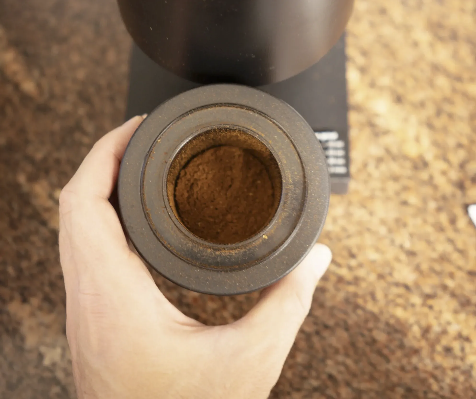 Molienda del Fellow Opus