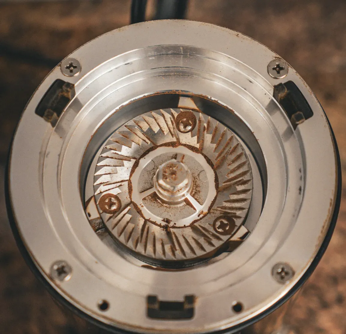 Lower burr of the MiiCoffee DF54