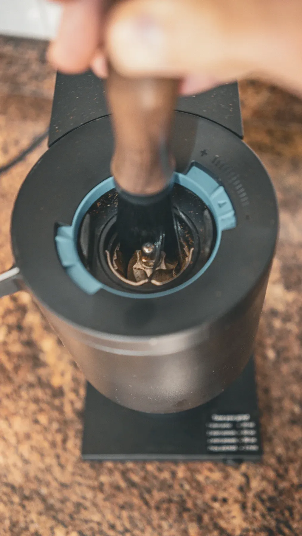 Limpiando las muelas del Fellow Opus